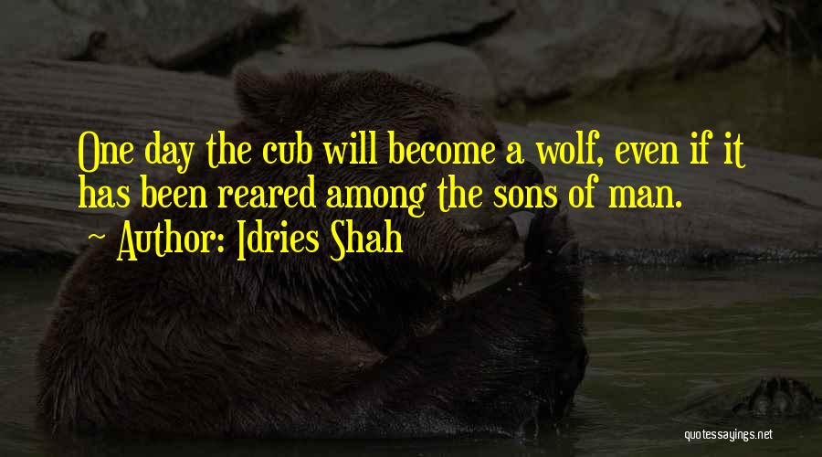 Wolf Among Us Quotes By Idries Shah