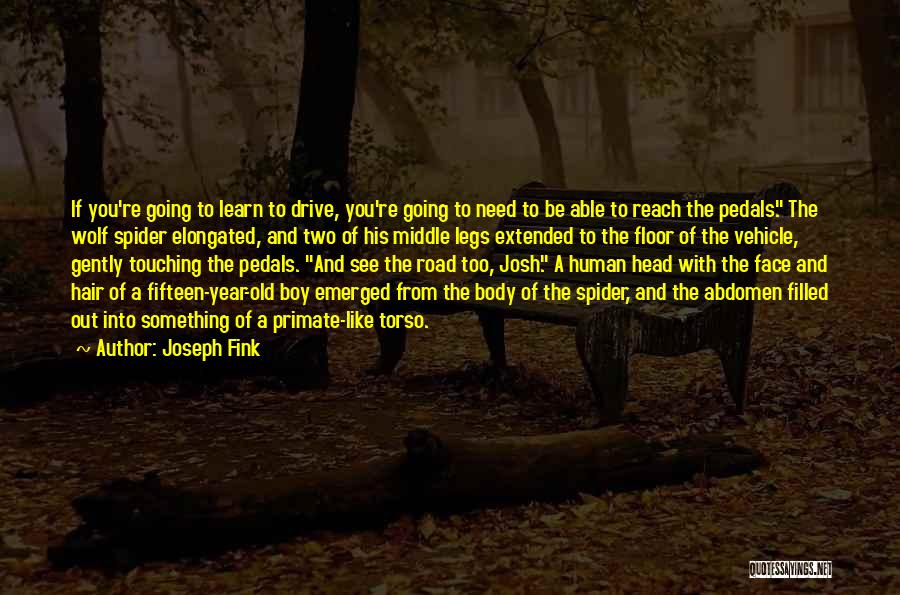 Wolf And Human Quotes By Joseph Fink