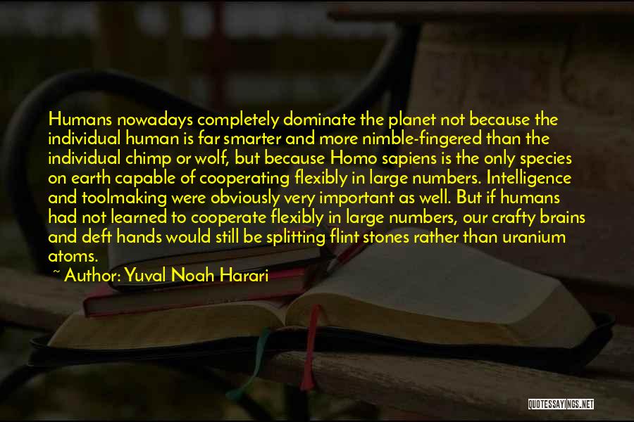 Wolf And Human Quotes By Yuval Noah Harari