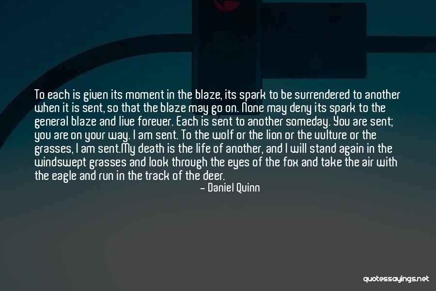 Wolf And Lion Quotes By Daniel Quinn Wolf And Lion Quotes By Daniel Quinn