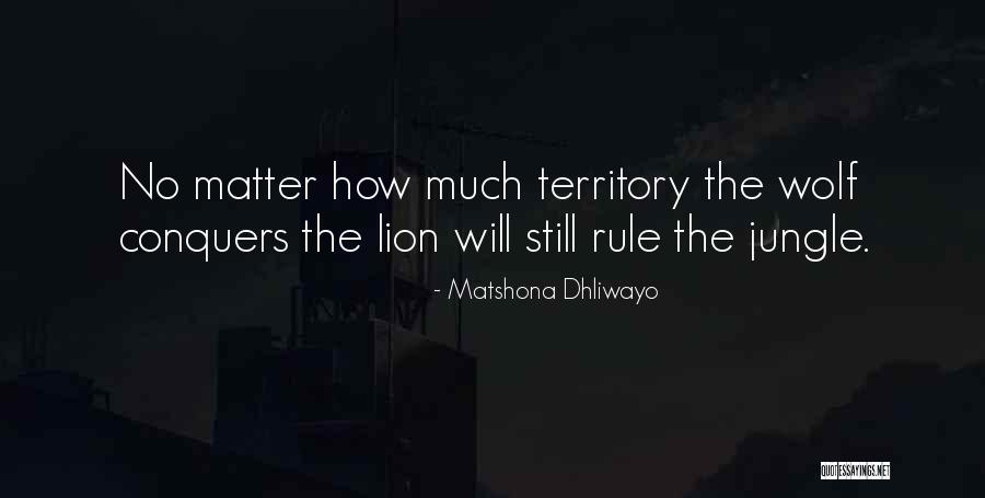 Wolf And Lion Quotes By Matshona Dhliwayo Wolf And Lion Quotes By Matshona Dhliwayo