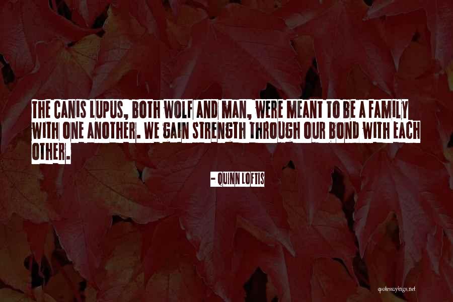 Wolf And Pack Quotes By Quinn Loftis Wolf And Pack Quotes By Quinn Loftis
