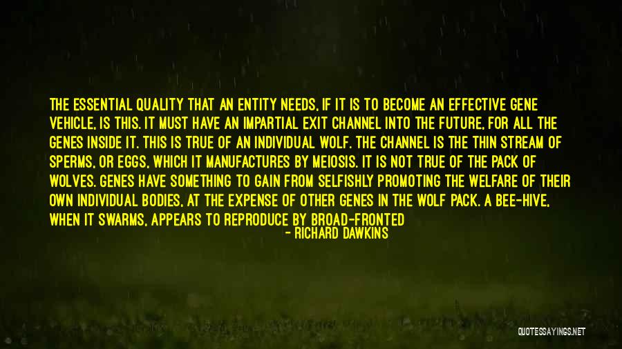 Wolf And Pack Quotes By Richard Dawkins Wolf And Pack Quotes By Richard Dawkins