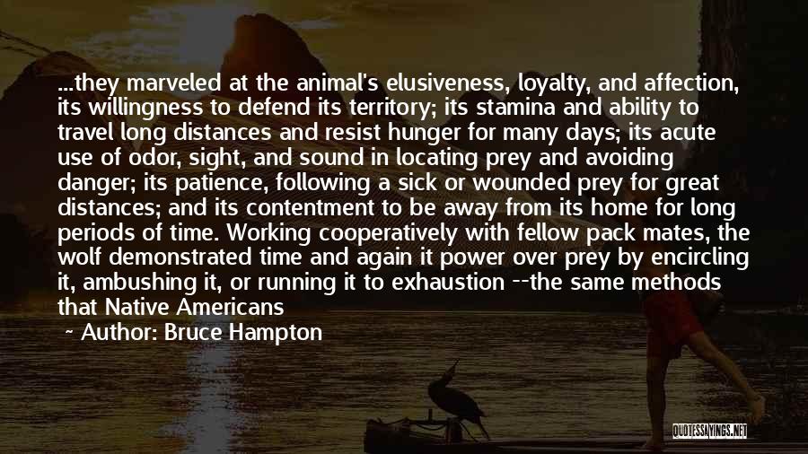 Wolf And Prey Quotes By Bruce Hampton