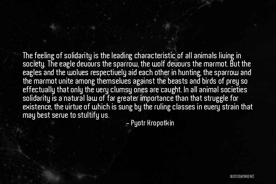 Wolf And Prey Quotes By Pyotr Kropotkin