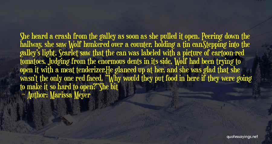 Wolf And Scarlet Quotes By Marissa Meyer