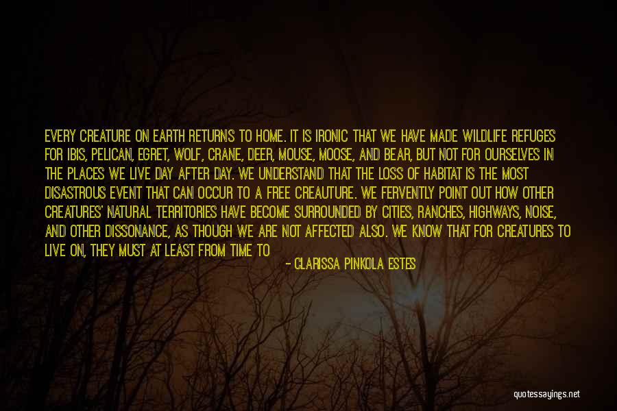 Wolf By Wolf Quotes By Clarissa Pinkola Estes Wolf By Wolf Quotes By Clarissa Pinkola Estes