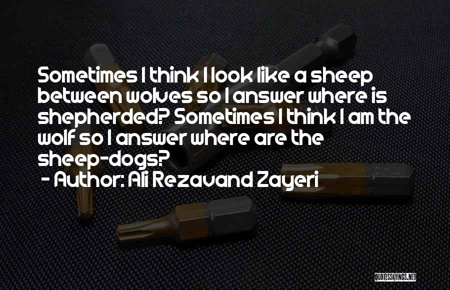 Wolf Dogs Quotes By Ali Rezavand Zayeri