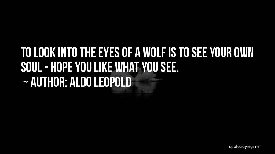 Wolf Eyes Quotes By Aldo Leopold