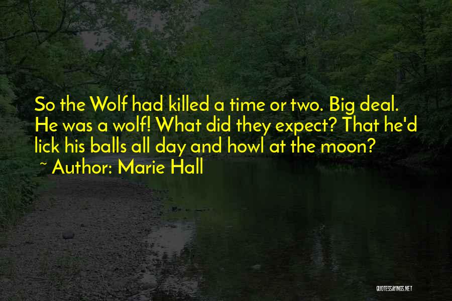 Wolf Hall Quotes By Marie Hall