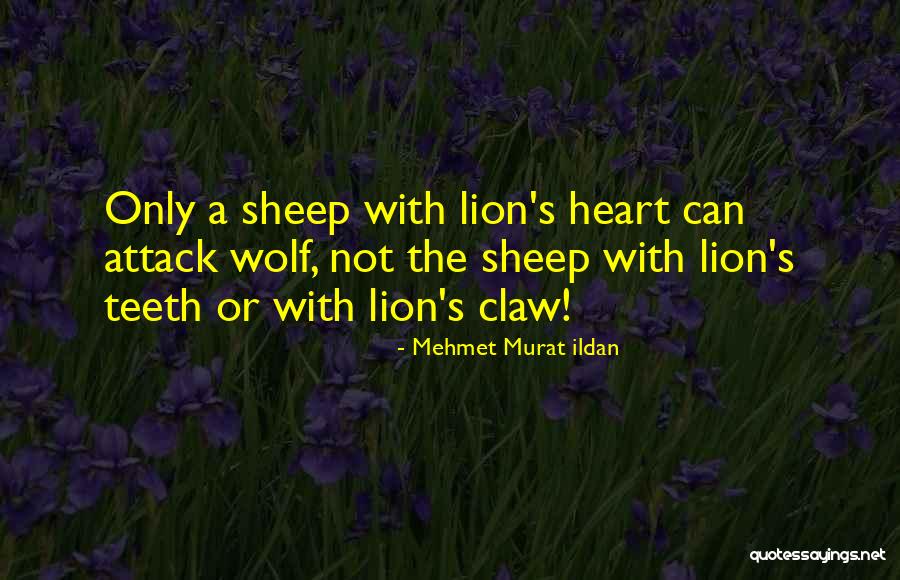 Wolf Heart Quotes By Mehmet Murat Ildan Wolf Heart Quotes By Mehmet Murat Ildan