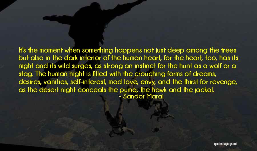 Wolf Heart Quotes By Sandor Marai Wolf Heart Quotes By Sandor Marai