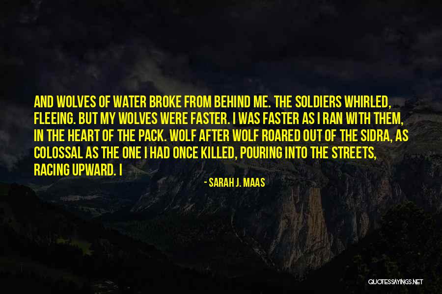 Wolf Heart Quotes By Sarah J. Maas Wolf Heart Quotes By Sarah J. Maas