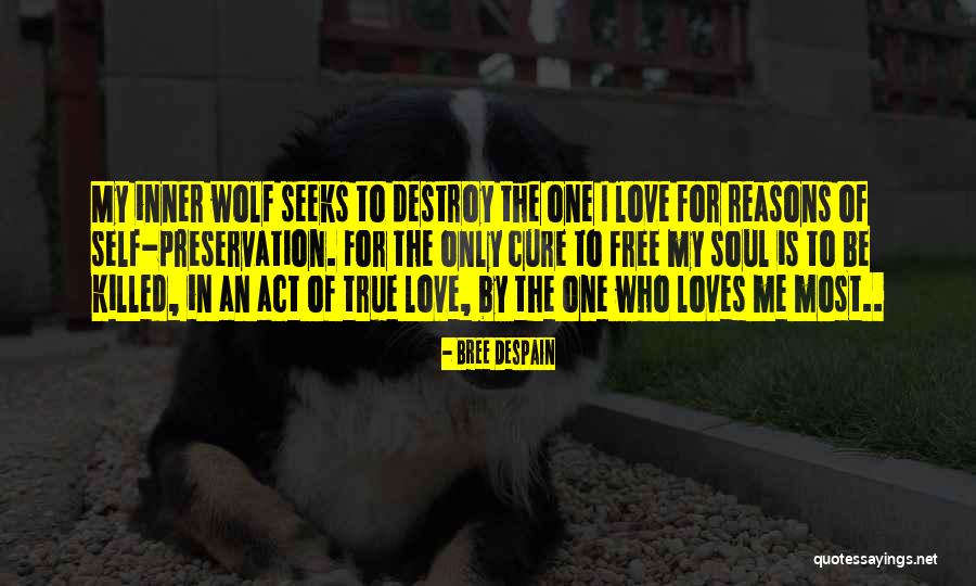 Wolf Love Quotes By Bree Despain Wolf Love Quotes By Bree Despain