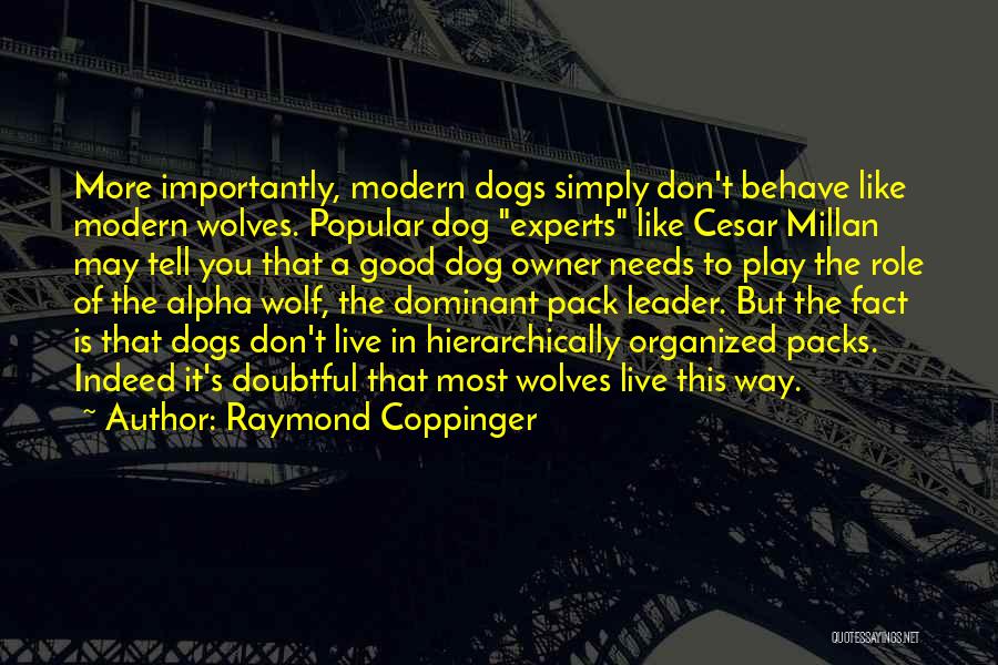 Wolf Pack Leader Quotes By Raymond Coppinger