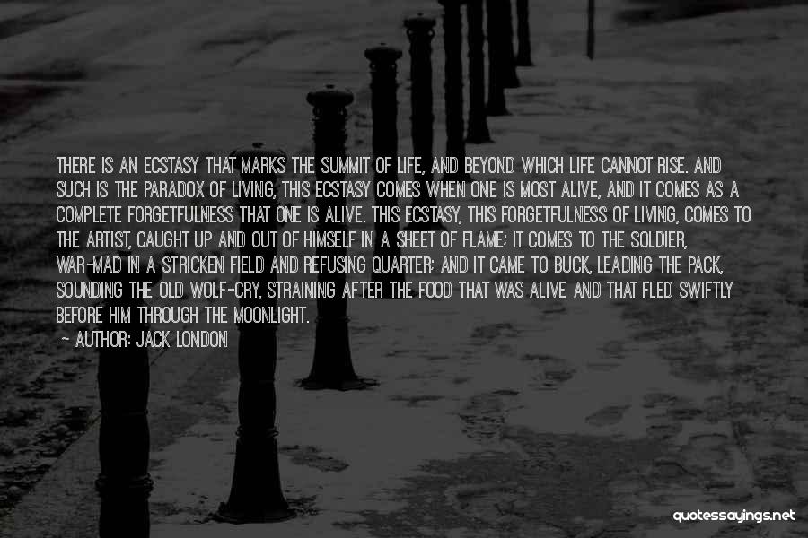 Wolf Pack Quotes By Jack London