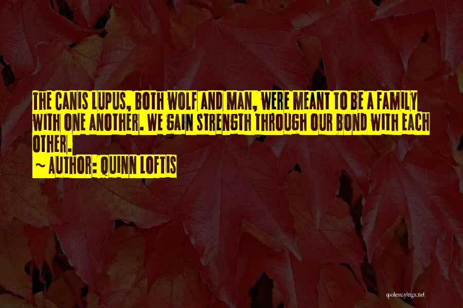 Wolf Pack Quotes By Quinn Loftis