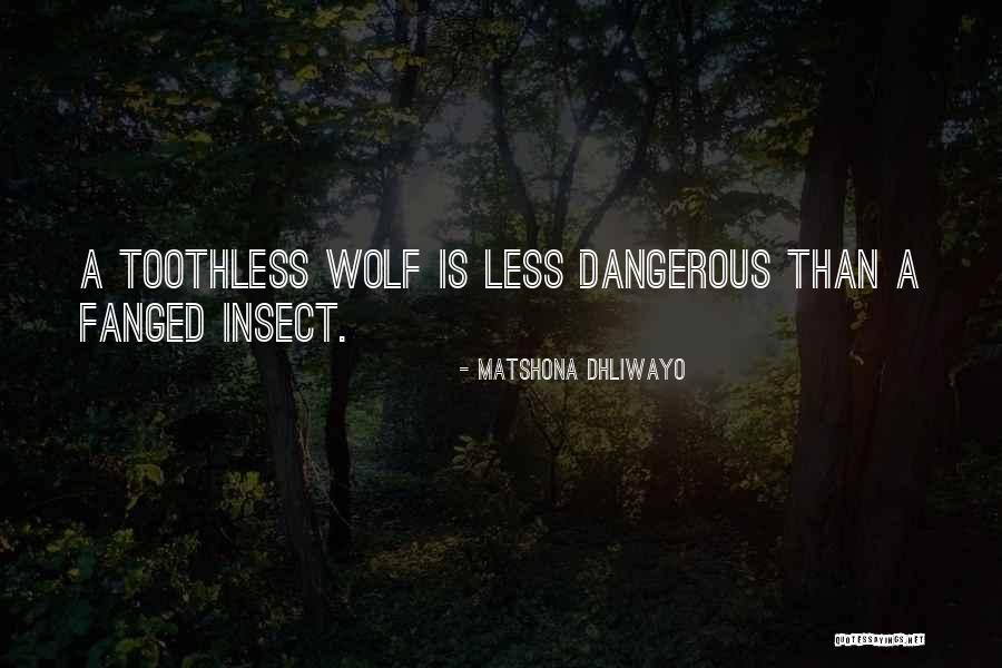 Wolf Sayings And Quotes By Matshona Dhliwayo