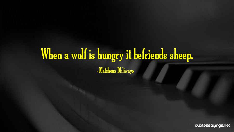 Wolf Sayings And Quotes By Matshona Dhliwayo