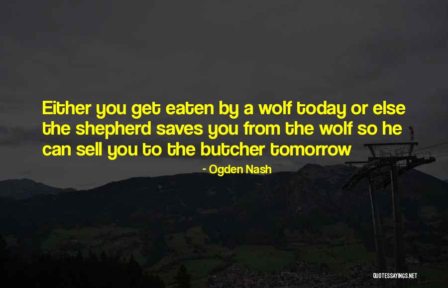 Wolf Sheep Quotes By Ogden Nash Wolf Sheep Quotes By Ogden Nash