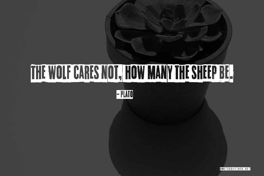 Wolf Sheep Quotes By Plato Wolf Sheep Quotes By Plato