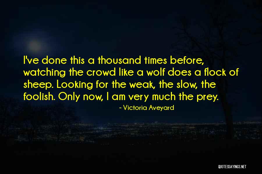 Wolf Sheep Quotes By Victoria Aveyard Wolf Sheep Quotes By Victoria Aveyard