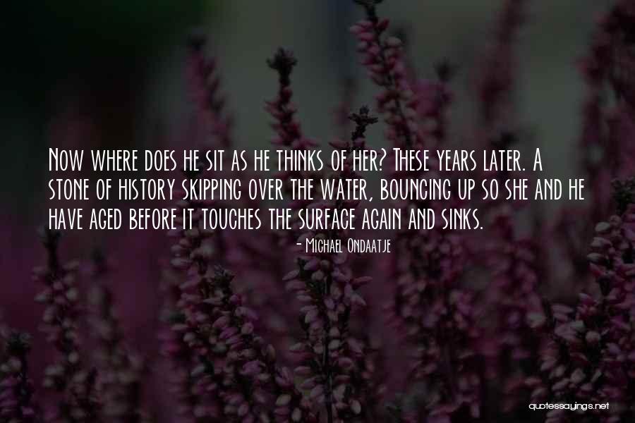 Wolf Spider Quotes By Michael Ondaatje Wolf Spider Quotes By Michael Ondaatje