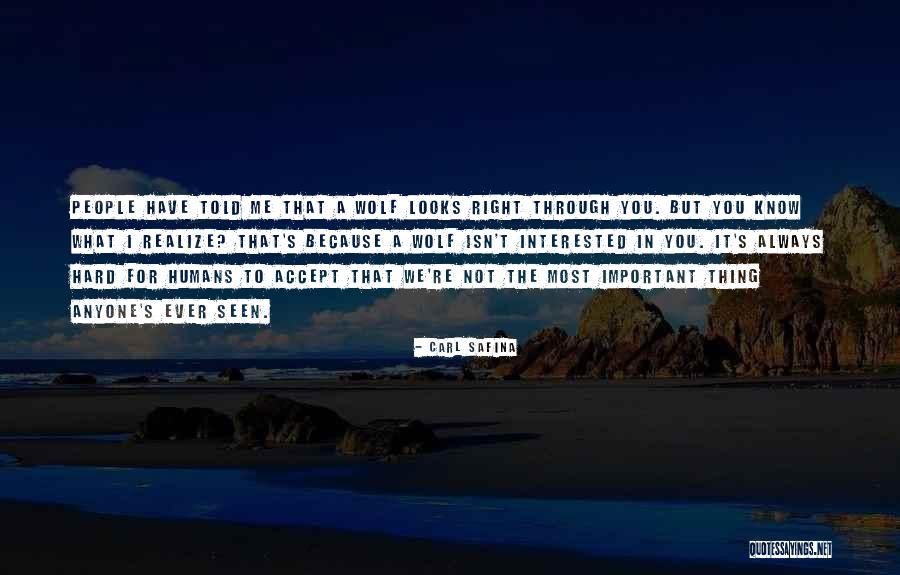 Wolf Thing Quotes By Carl Safina Wolf Thing Quotes By Carl Safina