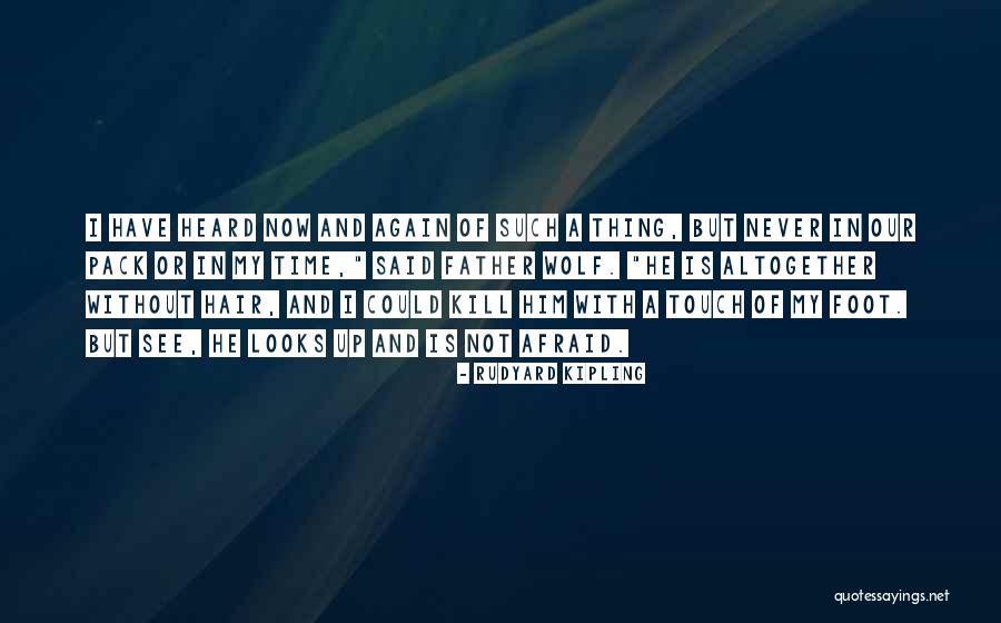 Wolf Thing Quotes By Rudyard Kipling Wolf Thing Quotes By Rudyard Kipling