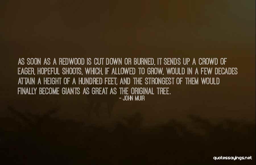 Wolfard Glass Quotes By John Muir Wolfard Glass Quotes By John Muir