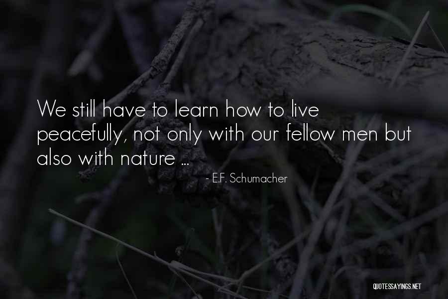 Wolfcry Band Quotes By E.F. Schumacher Wolfcry Band Quotes By E.F. Schumacher