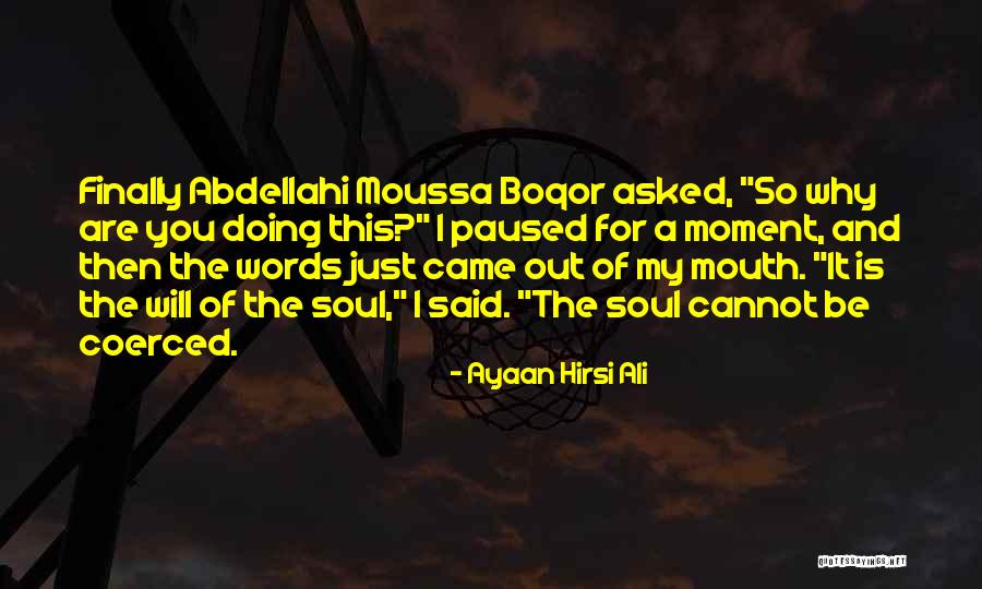 Wolfdog Sanctuary Quotes By Ayaan Hirsi Ali Wolfdog Sanctuary Quotes By Ayaan Hirsi Ali