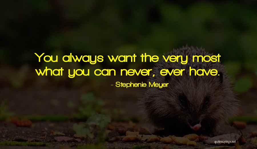 Wolfenbach Quotes By Stephenie Meyer Wolfenbach Quotes By Stephenie Meyer