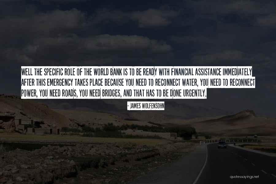 Wolfensohn Co Quotes By James Wolfensohn Wolfensohn Co Quotes By James Wolfensohn