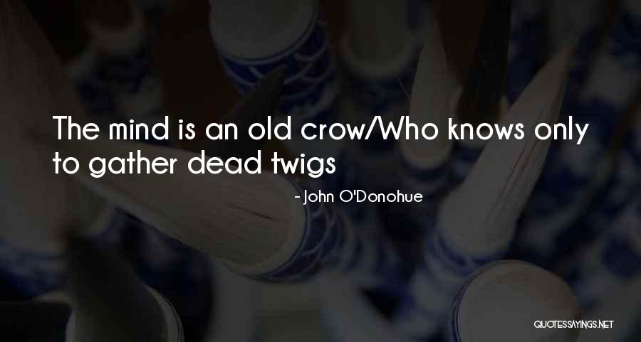 Wolfensohn Co Quotes By John O'Donohue Wolfensohn Co Quotes By John O'Donohue