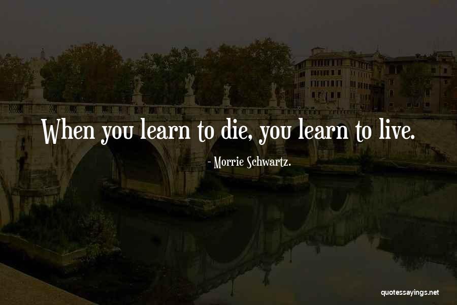 Wolfensohn James Quotes By Morrie Schwartz. Wolfensohn James Quotes By Morrie Schwartz.