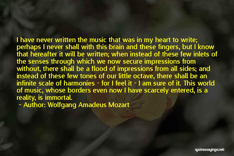 Wolfgang Amadeus Mozart Quotes 464474