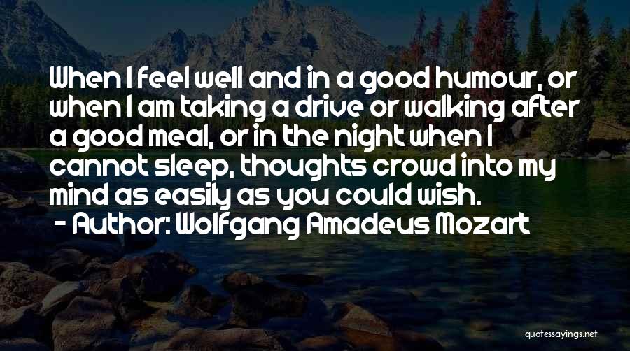 Wolfgang Amadeus Mozart Quotes 756241
