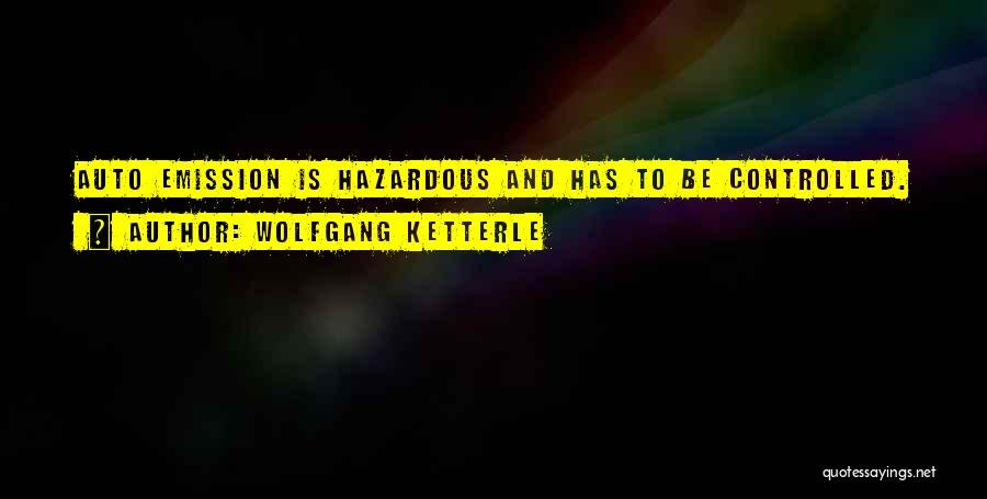 Wolfgang Ketterle Quotes 1238822