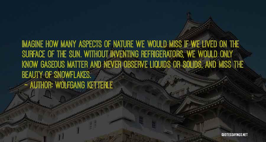 Wolfgang Ketterle Quotes 865946