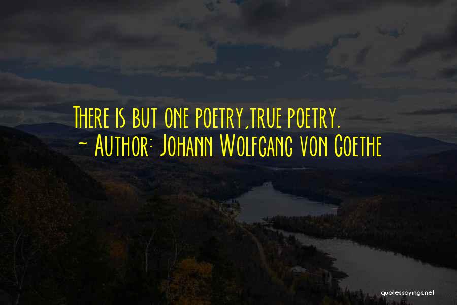 Wolfgang Quotes By Johann Wolfgang Von Goethe