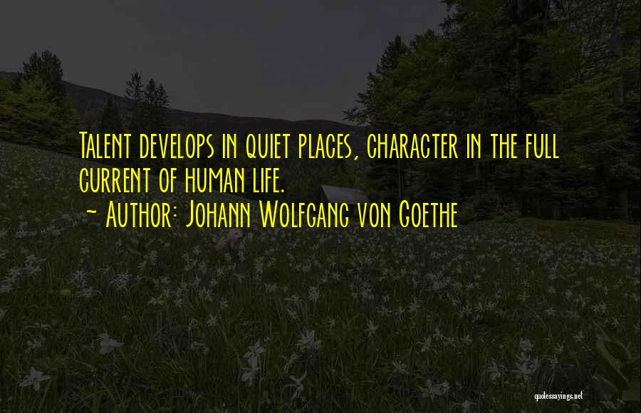 Wolfgang Quotes By Johann Wolfgang Von Goethe