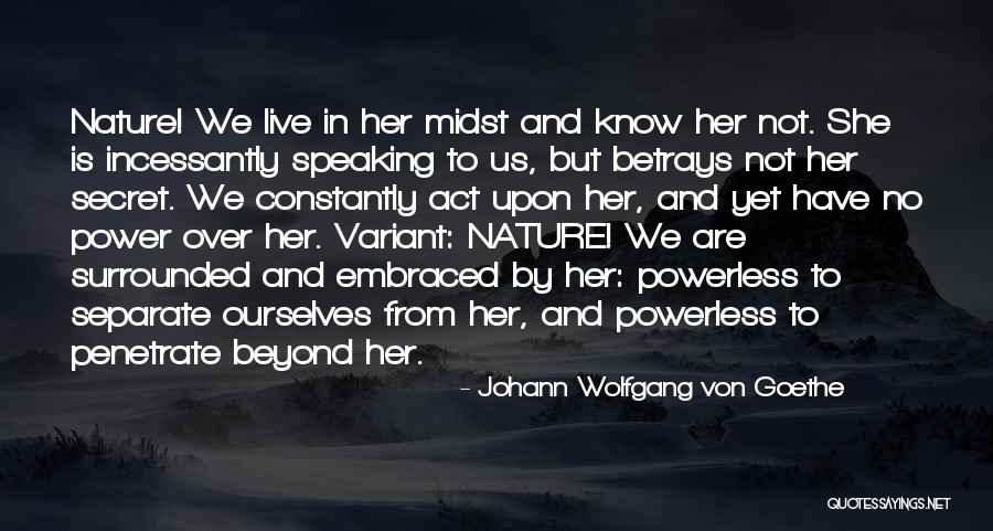 Wolfgang Quotes By Johann Wolfgang Von Goethe