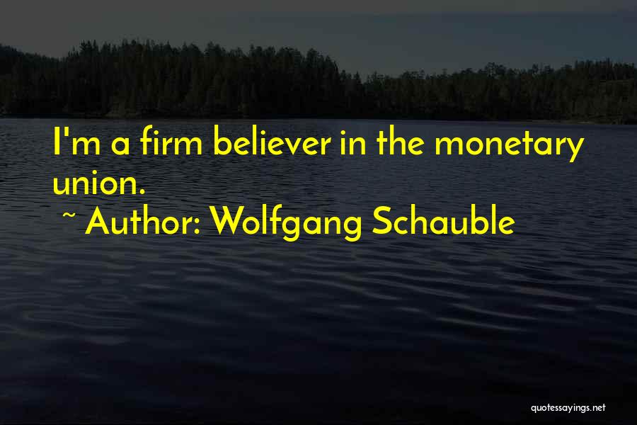 Wolfgang Schauble Quotes 340827