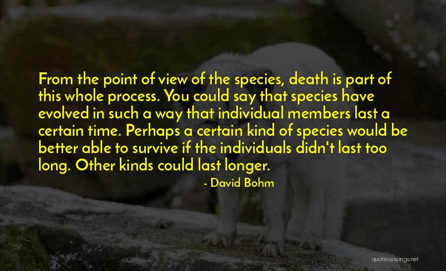 Wolfley Wvu Quotes By David Bohm Wolfley Wvu Quotes By David Bohm