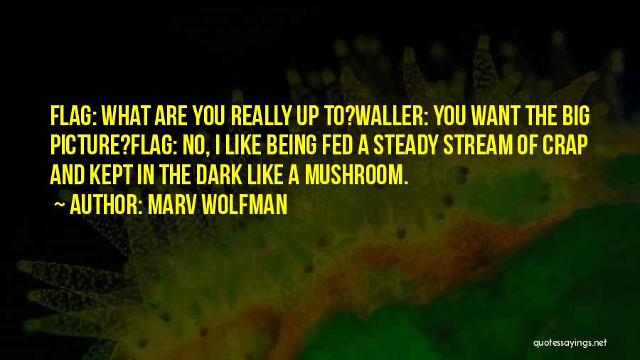 Wolfman Quotes By Marv Wolfman