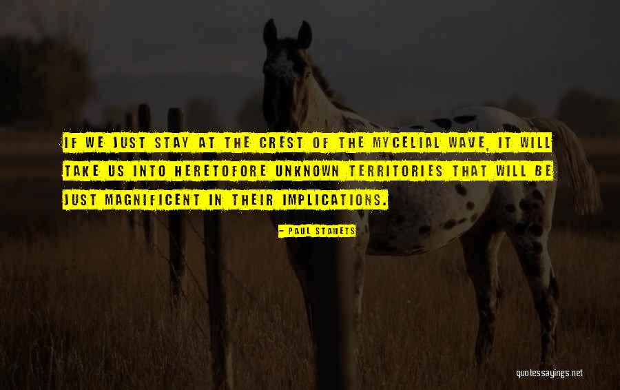 Wolfmann Quotes By Paul Stamets Wolfmann Quotes By Paul Stamets