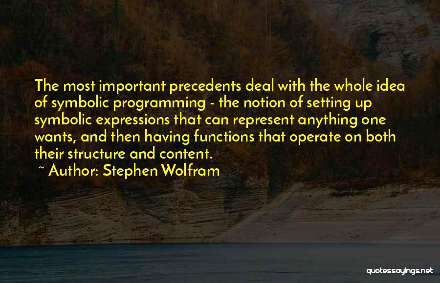 Wolfram Quotes By Stephen Wolfram