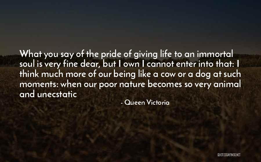Wolfsohn Financial Quotes By Queen Victoria