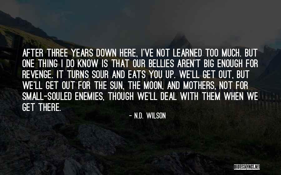 Wolkins Wonders Quotes By N.D. Wilson Wolkins Wonders Quotes By N.D. Wilson